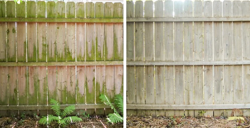 Fence & Retaining Wall Cleaning in Montgomery
